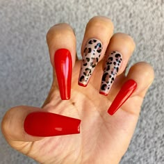 Nail Photoshoot, Ongles Bling Bling, Nails Model, Cheetah Print Nails, Black Tips, Cheetah Nails, Leopard Print Nails, Nails Today, Leopard Nails