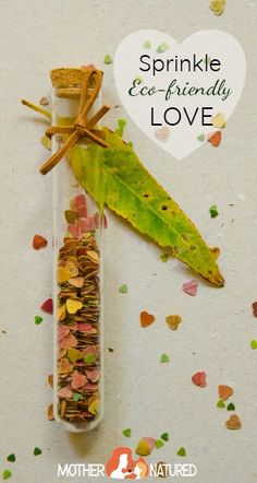 sprinkle eco - friendly love in a glass tube filled with seeds and leaves