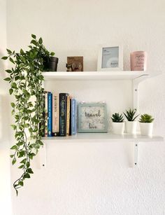 two white shelves with books and plants on them