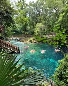 people are swimming in the blue river