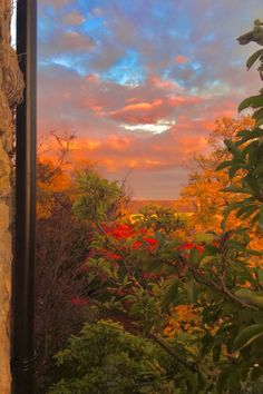 the sun is setting over some trees and bushes in front of a window with a view