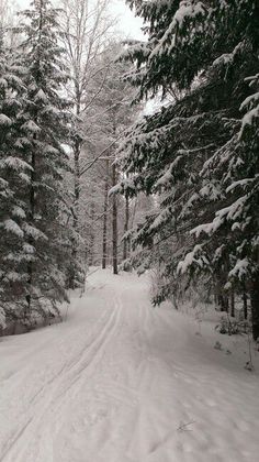 a snow covered road in the middle of some trees