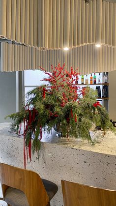 a counter with two chairs and a potted plant on it