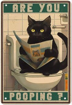 a black cat sitting on top of a toilet reading a newspaper with the caption are you pooping?