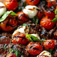 grilled meat with tomatoes, mozzarella and basil