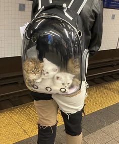 a person wearing a backpack with cats in it's back pocket, standing on a subway platform