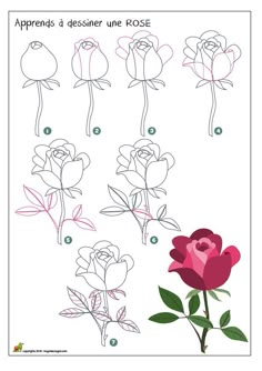 how to draw roses step by step instructions for children and beginners with pictures on the page