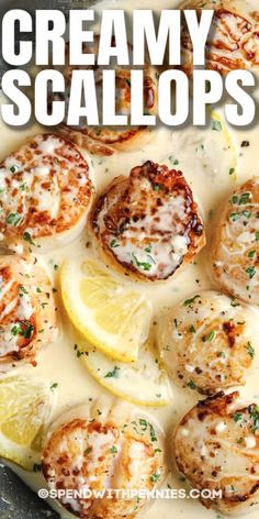 creamy scallops with lemons and parmesan cheese