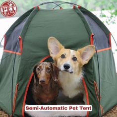 two dogs sitting in a tent with the caption sem - automatic pet tent