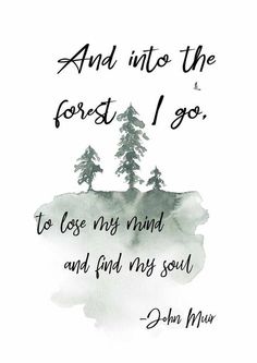 Body Artwork, Into The Forest I Go, Into The Forest, Art Quote, John Muir, Nature Quotes, Lose My Mind, Quotable Quotes, Planet Earth