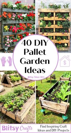 the top ten diy pallet garden ideas