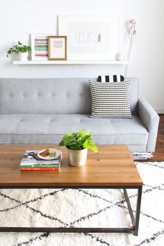 a living room with a couch, coffee table and potted plant on the coffee table