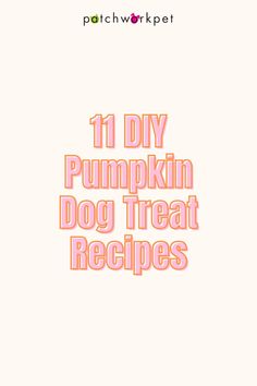 the title for 11 diy pumpkin dog treat recipes is shown in pink and orange