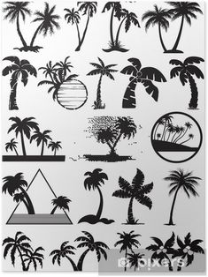 black and white palm trees silhouettes