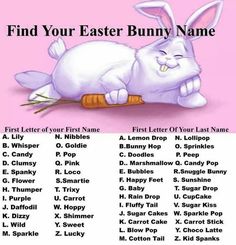 the easter bunny name game is shown in this screenshoth screen shot, and it's also available for kids to play