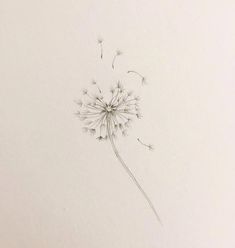 a drawing of a dandelion blowing in the wind on a white paper background