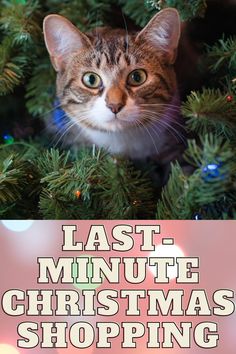 a cat peeking out from behind a christmas tree with the words last minute christmas shopping