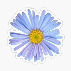 a blue flower with yellow center sticker