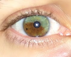 Blue And Brown Heterochromia, Sectoral Heterochromia Brown, Green And Brown Heterochromia Eyes, Sectoral Heterochromia Green And Blue, Heterochromia Eyes Blue And Green, Embroidery People