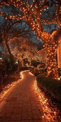 the walkway is lit up with christmas lights and trees in front of houses at night