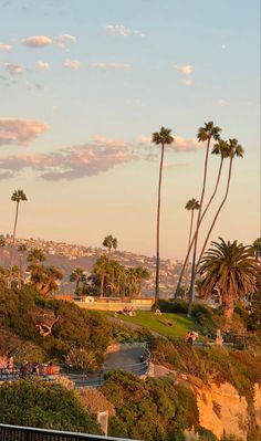 palm trees are in the foreground and people walk on the other side