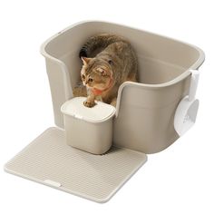 a cat is standing in the litter box