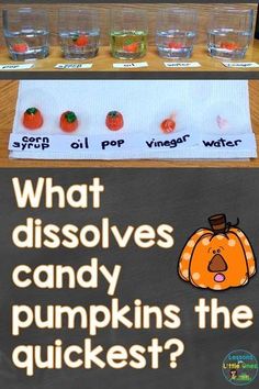 a sign that says what dissovies candy pumpkins the quickest? with glasses