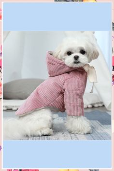 Looking for stylish dog clothes? Check out these 11 trendy outfits for your pup! From chic sweaters to adorable accessories, these ideas will have your furry friend looking paw-sitively fabulous. Dress to impress with these fashionable dog clothes tips! Clothes For Autumn, Pampered Dogs, Dog Fashion Clothes, Clothes Tips, Colorful Hairstyles, Pug Dogs, Spoiled Dogs, Cute Dog Clothes, Famous Dogs