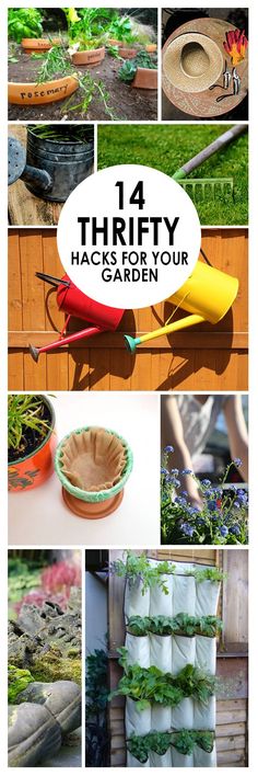 there are many different pictures that include plants and gardening tools in the garden, including carrots