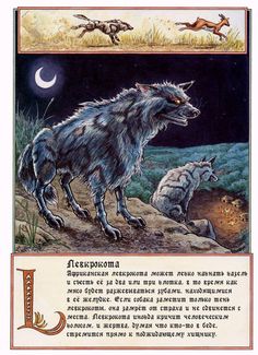 Wolf Fangs, African Mythology, Fantasy Wolf, Graphic Book