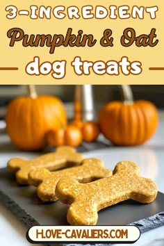 three ingredient pumpkin and oat dog treats