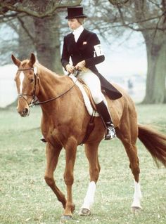 a man riding on the back of a brown horse in a field next to trees