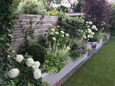 a garden filled with lots of plants and flowers next to a wooden fence on top of grass