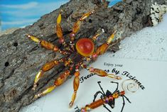 an orange spider sitting on top of a piece of paper next to a tree branch