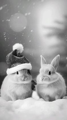 two rabbits wearing santa hats in the snow