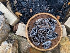 a basket filled with pine cones sitting on top of rocks