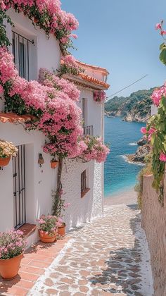 an alley leading to the beach with pink flowers growing on it