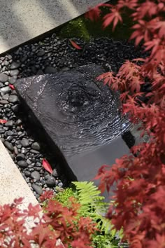 a water feature surrounded by plants and rocks in a garden area with red leaves on the ground