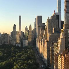 an aerial view of new york city with skyscrapers and trees in the foreground