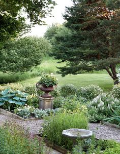 a garden filled with lots of different types of plants