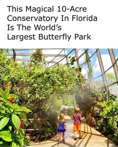 two children are walking in the butterfly park with text that reads, this magical 10 - acre conservatory in florida is the world's largest butterfly park