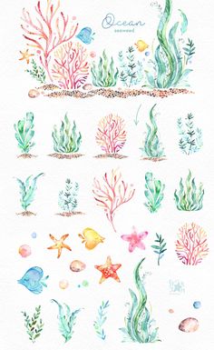 watercolor drawing of seaweed and corals on white paper with the words ocean written in