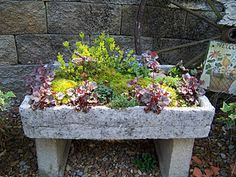 an old bench is filled with flowers and plants in the middle of graveled area