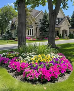 a flower bed in front of a house with lots of flowers around it and trees