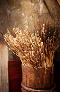 a wooden bucket filled with lots of wheat