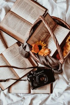 an open book, camera and flowers on a bed