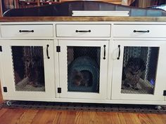 two dogs sitting in their kennels on the floor