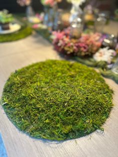 the table is covered with green moss