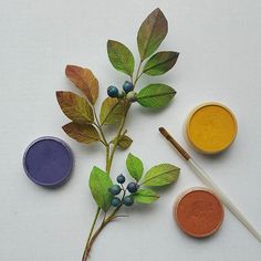 three different colors of paint sitting next to each other on a white surface with leaves