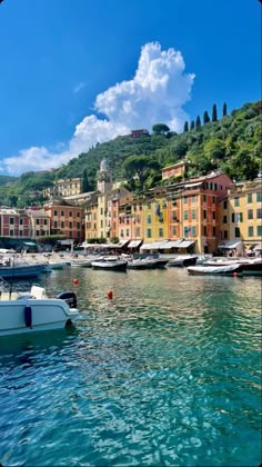 boats are docked in the water next to buildings on a hill side with green trees and blue sky